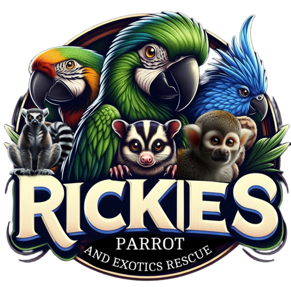 Rickies Parrot Rescue Merchandise