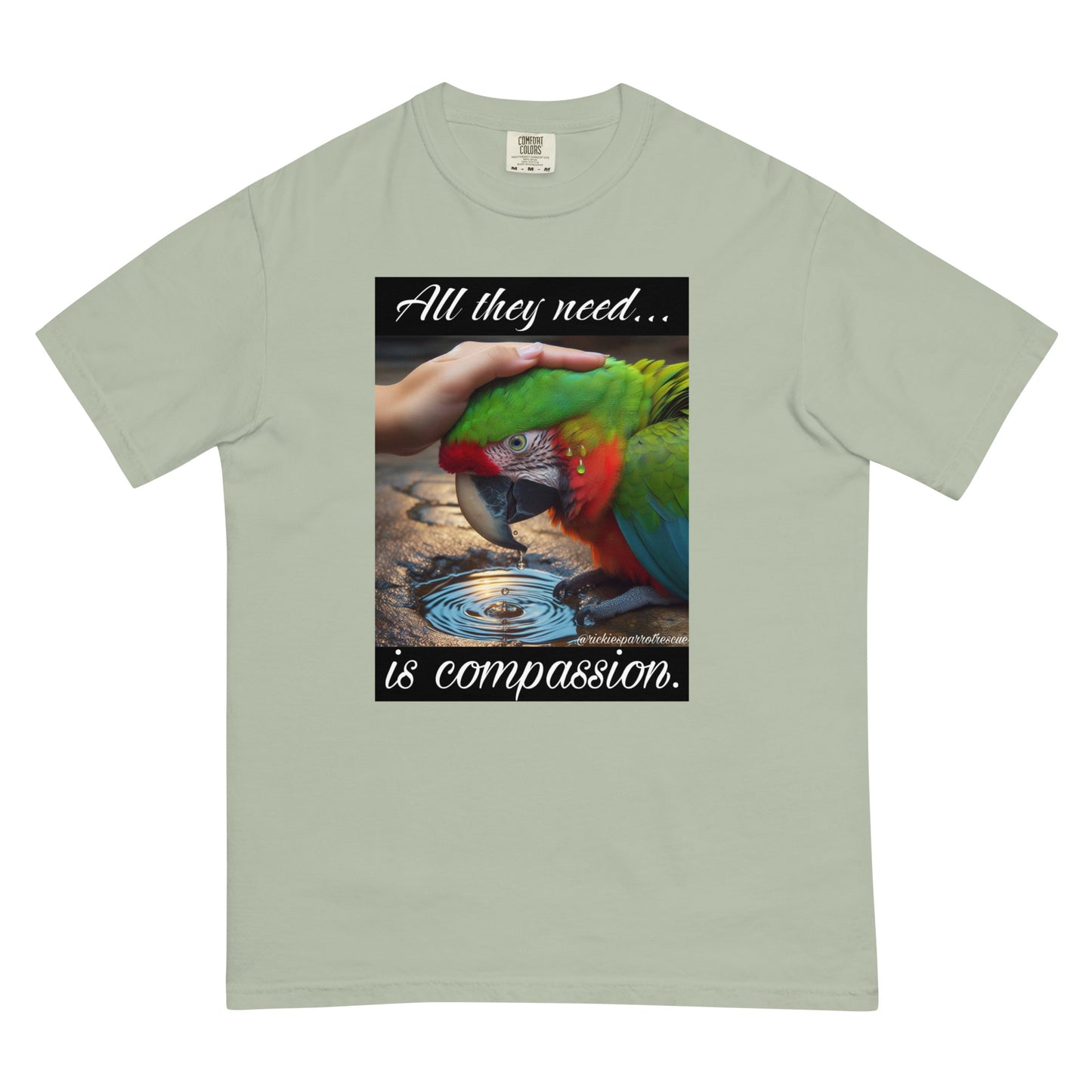 Compassion Unisex garment-dyed heavyweight t-shirt