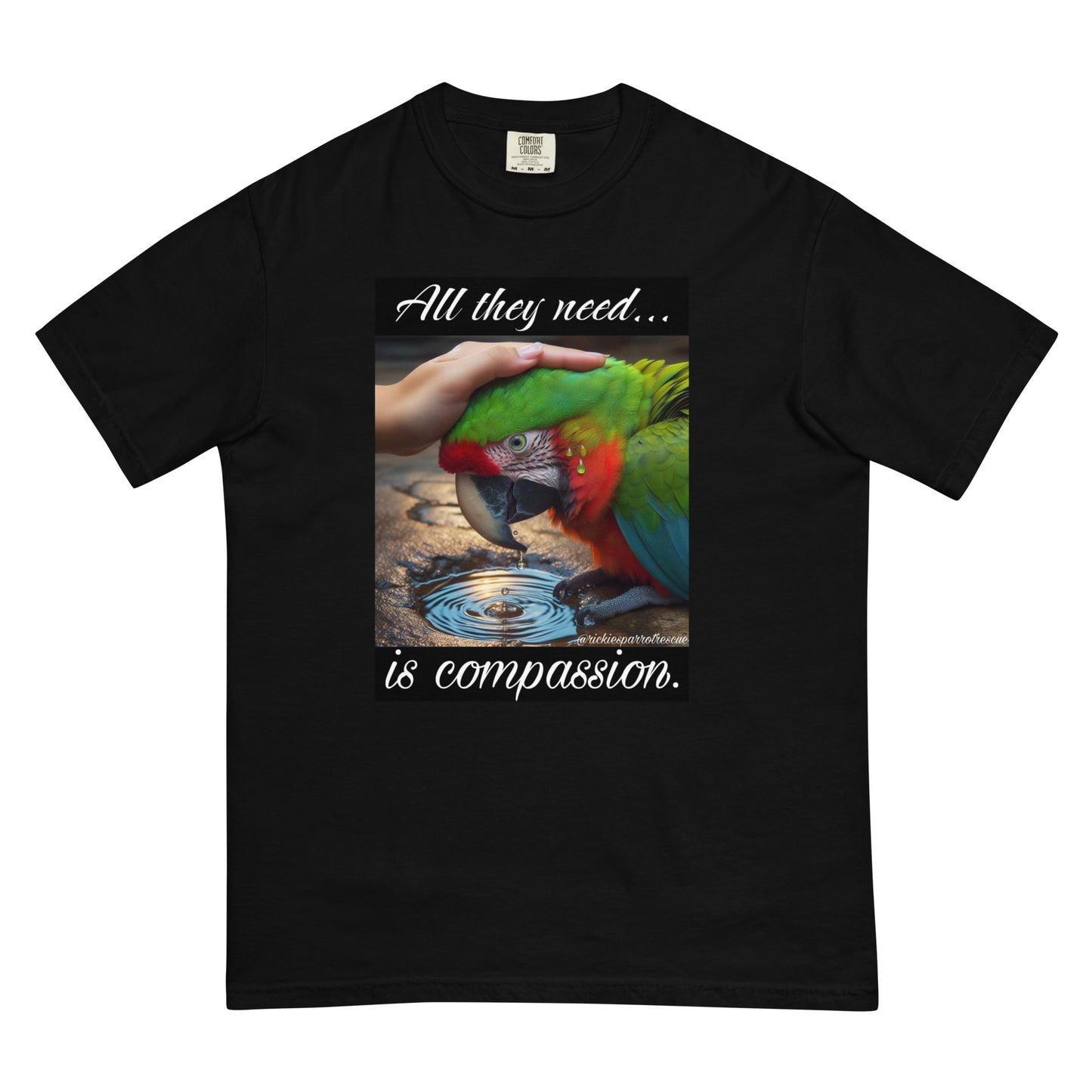 Compassion Unisex garment-dyed heavyweight t-shirt