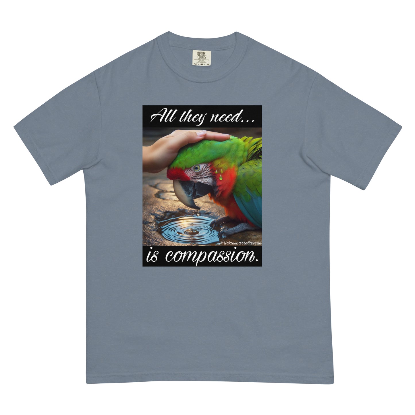 Compassion Unisex garment-dyed heavyweight t-shirt