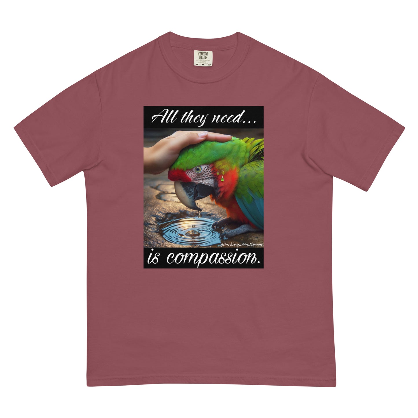 Compassion Unisex garment-dyed heavyweight t-shirt