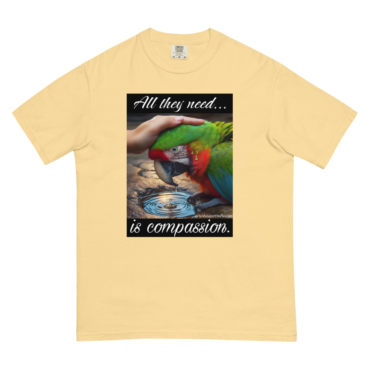 Compassion Unisex garment-dyed heavyweight t-shirt