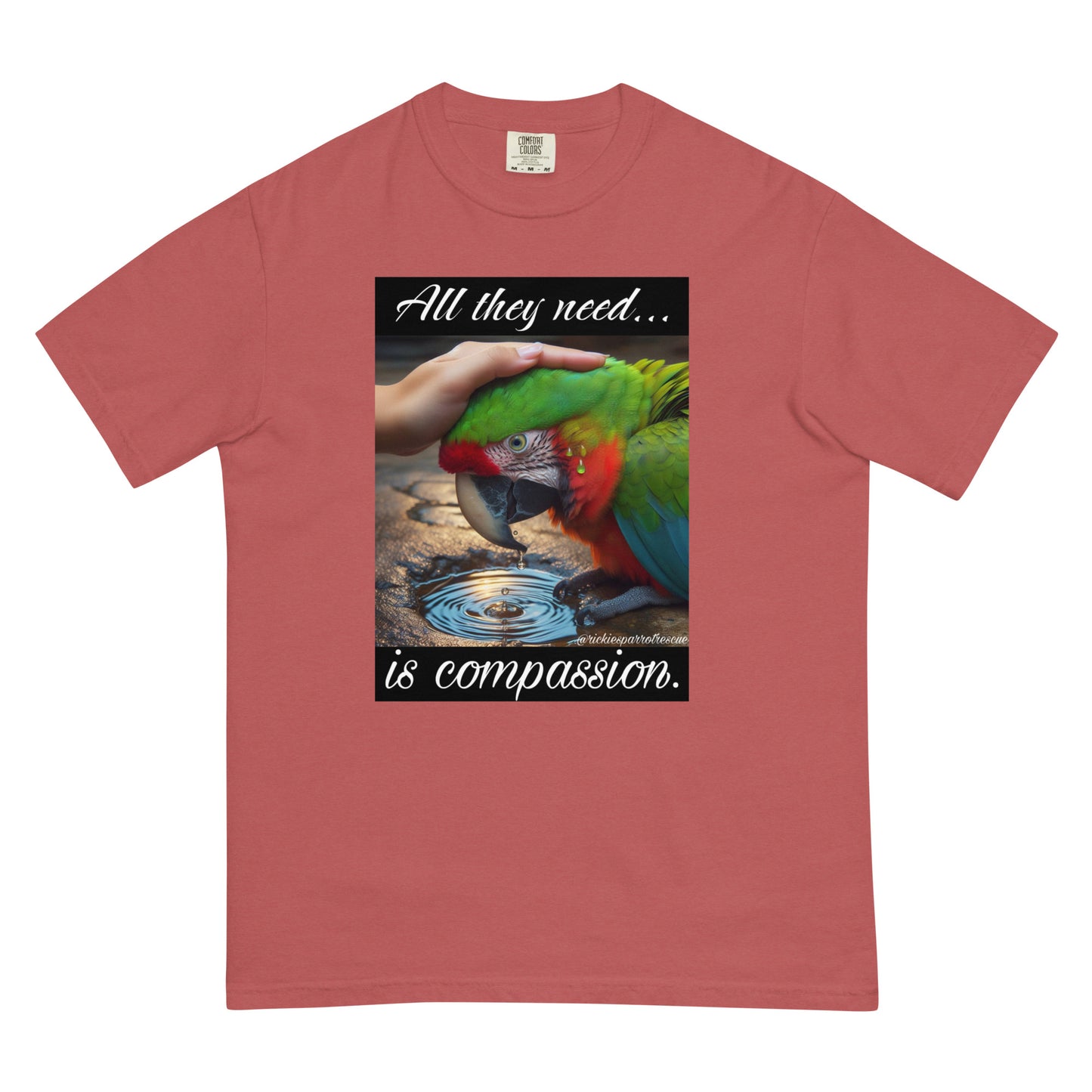 Compassion Unisex garment-dyed heavyweight t-shirt