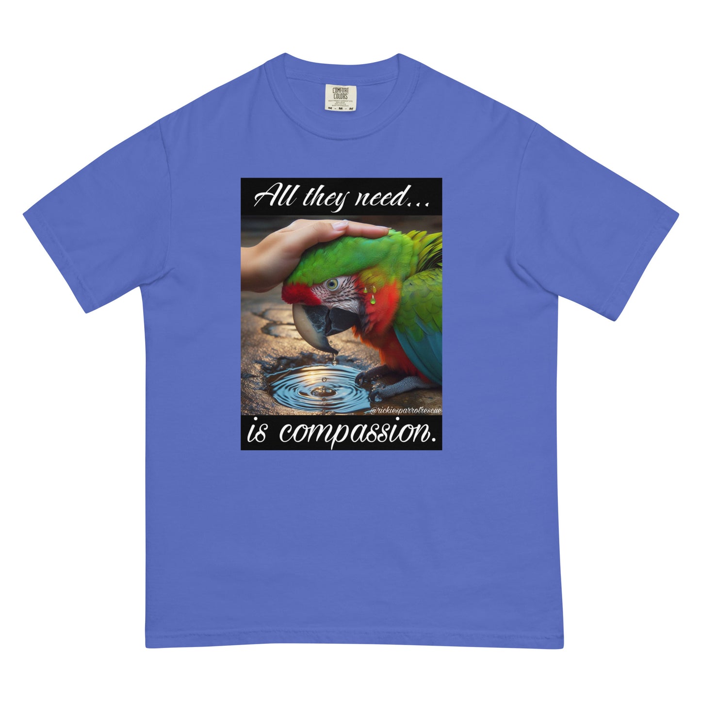 Compassion Unisex garment-dyed heavyweight t-shirt