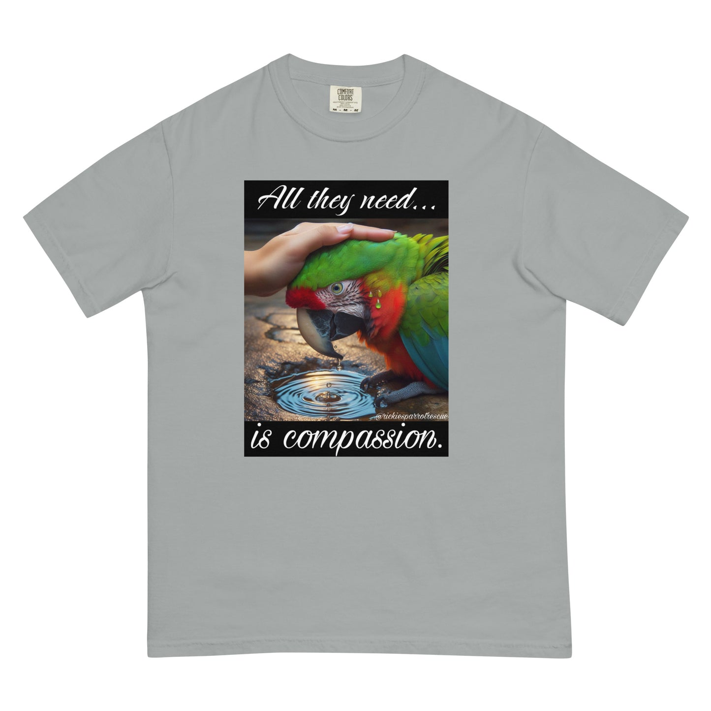 Compassion Unisex garment-dyed heavyweight t-shirt