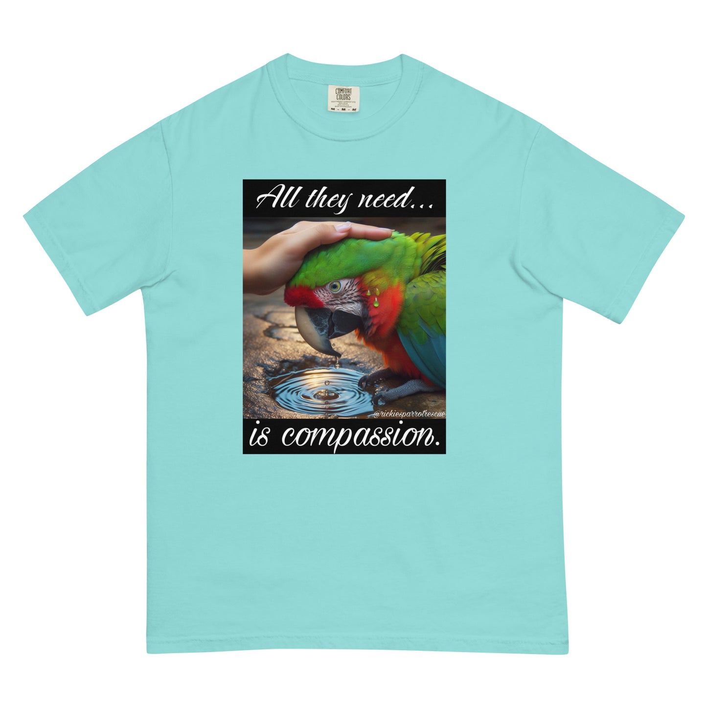 Compassion Unisex garment-dyed heavyweight t-shirt