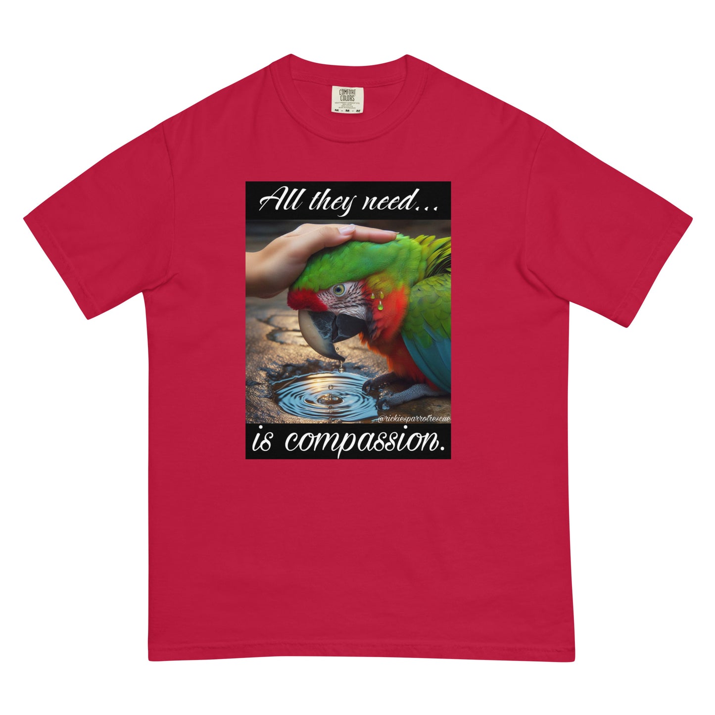 Compassion Unisex garment-dyed heavyweight t-shirt