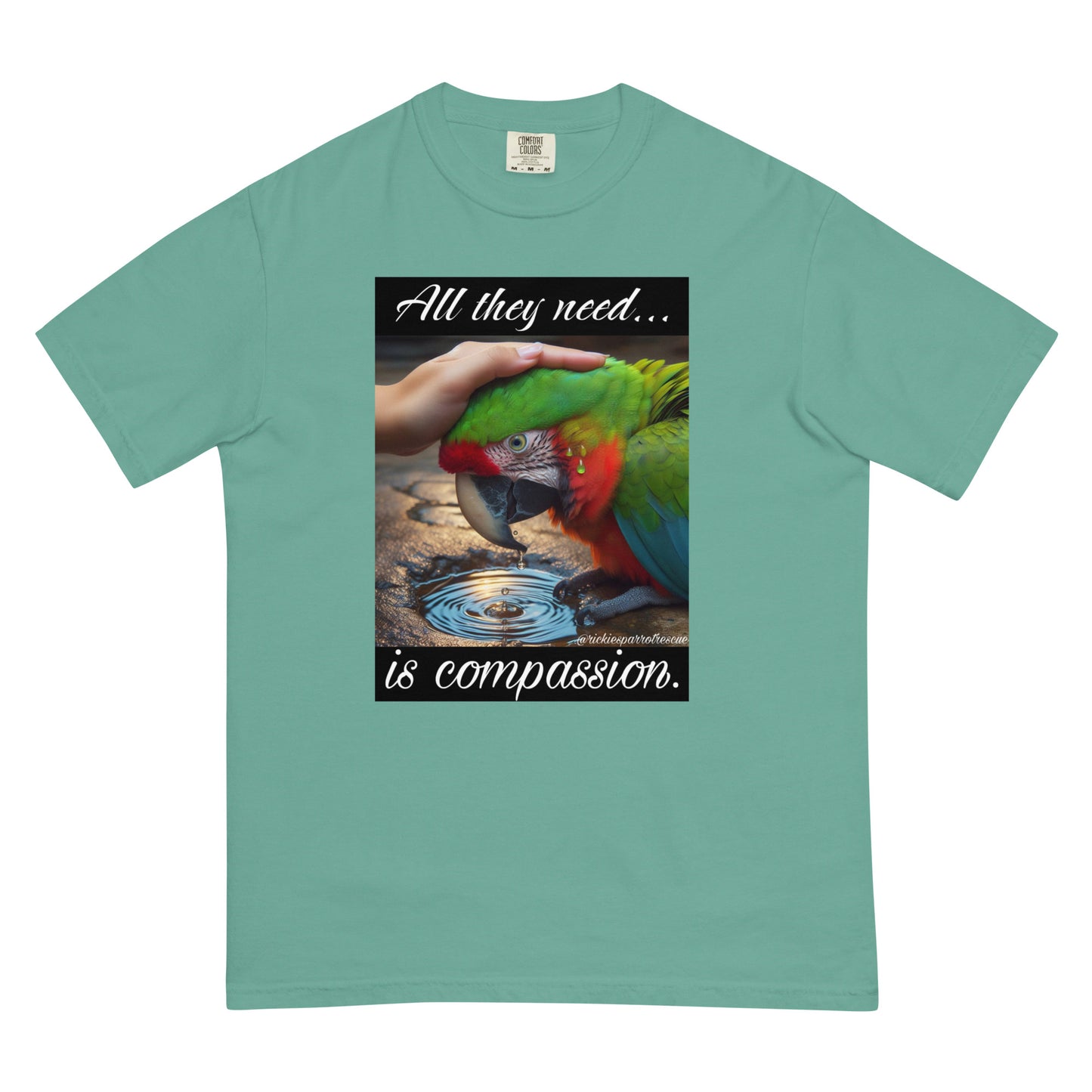 Compassion Unisex garment-dyed heavyweight t-shirt