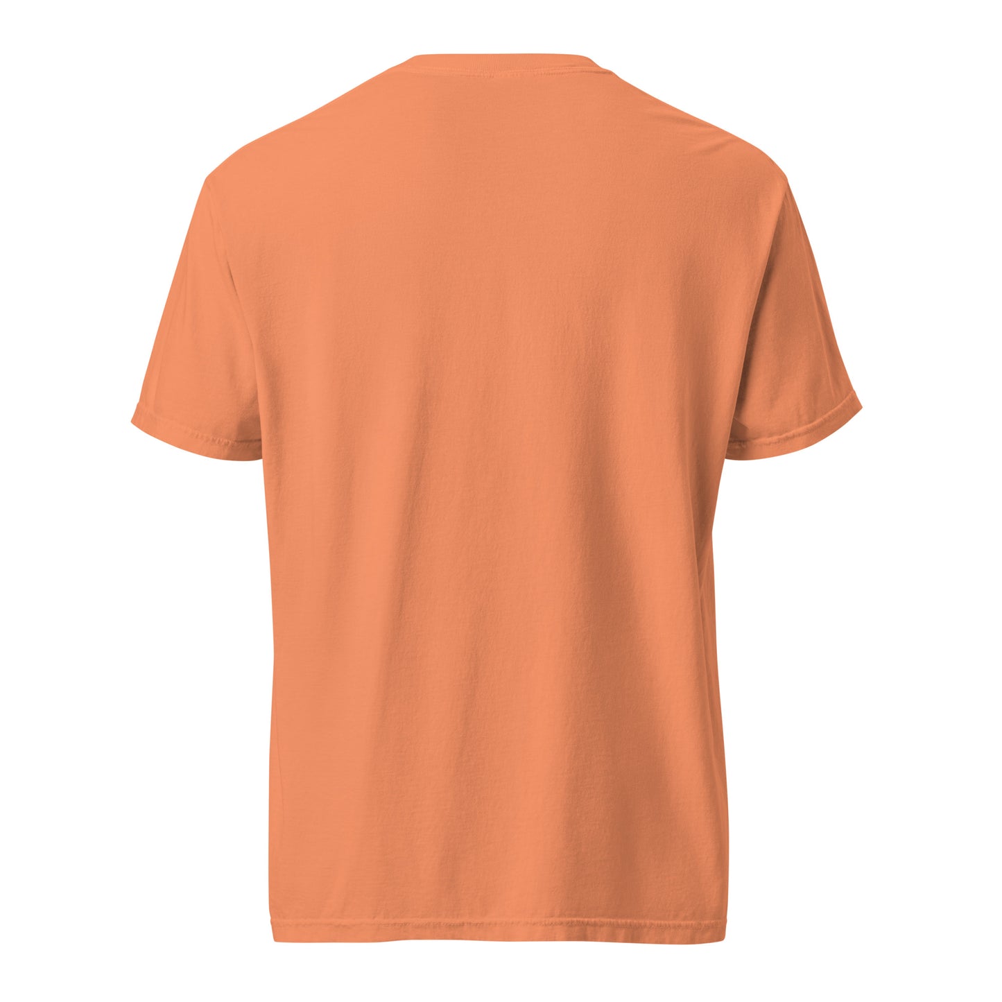 Level 10 Unisex garment-dyed heavyweight t-shirt