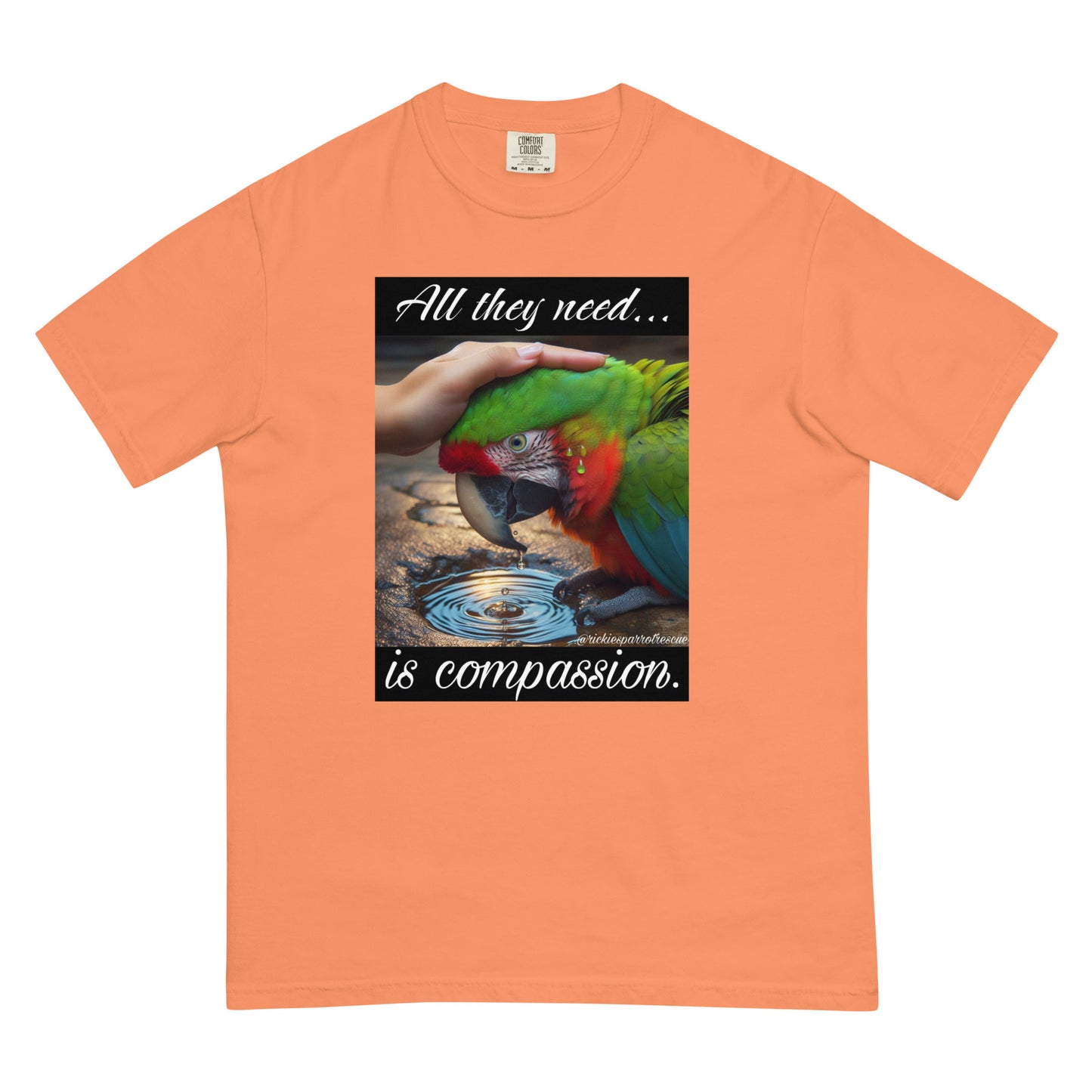 Compassion Unisex garment-dyed heavyweight t-shirt