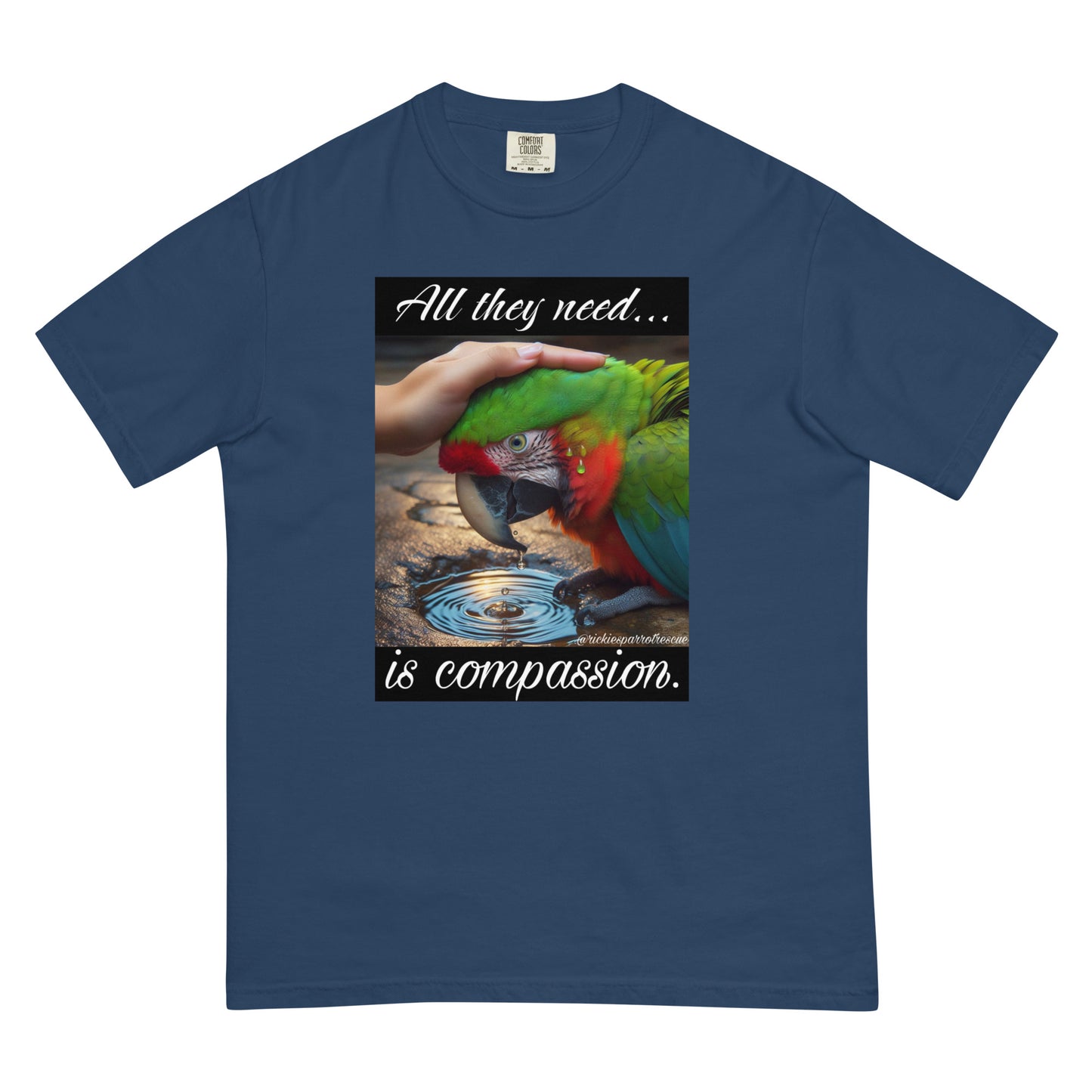 Compassion Unisex garment-dyed heavyweight t-shirt