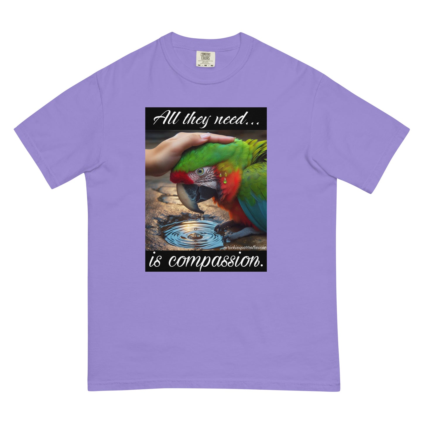 Compassion Unisex garment-dyed heavyweight t-shirt