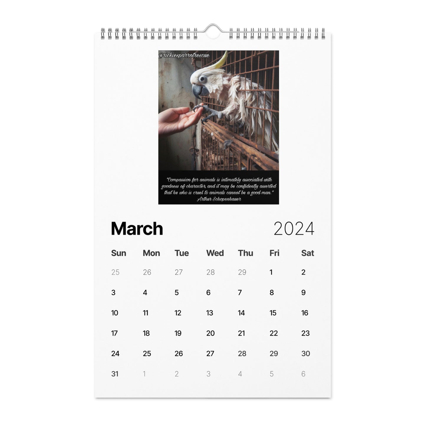 Wall calendar (2024)