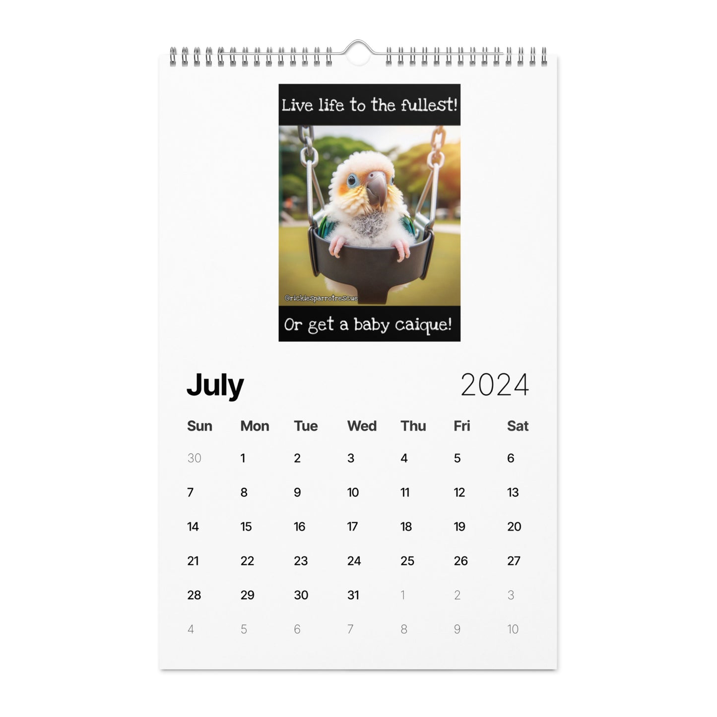 Wall calendar (2024)