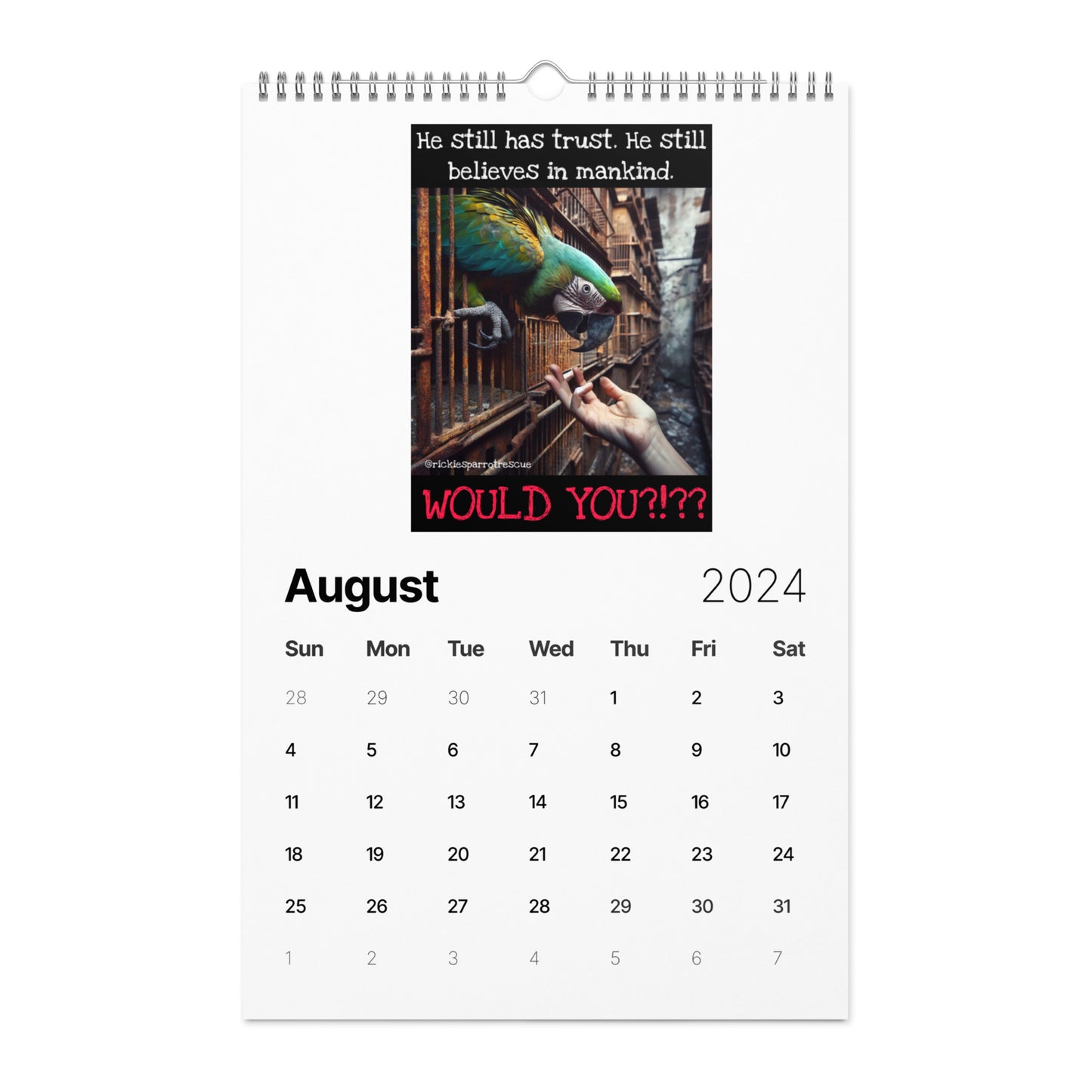 Wall calendar (2024)