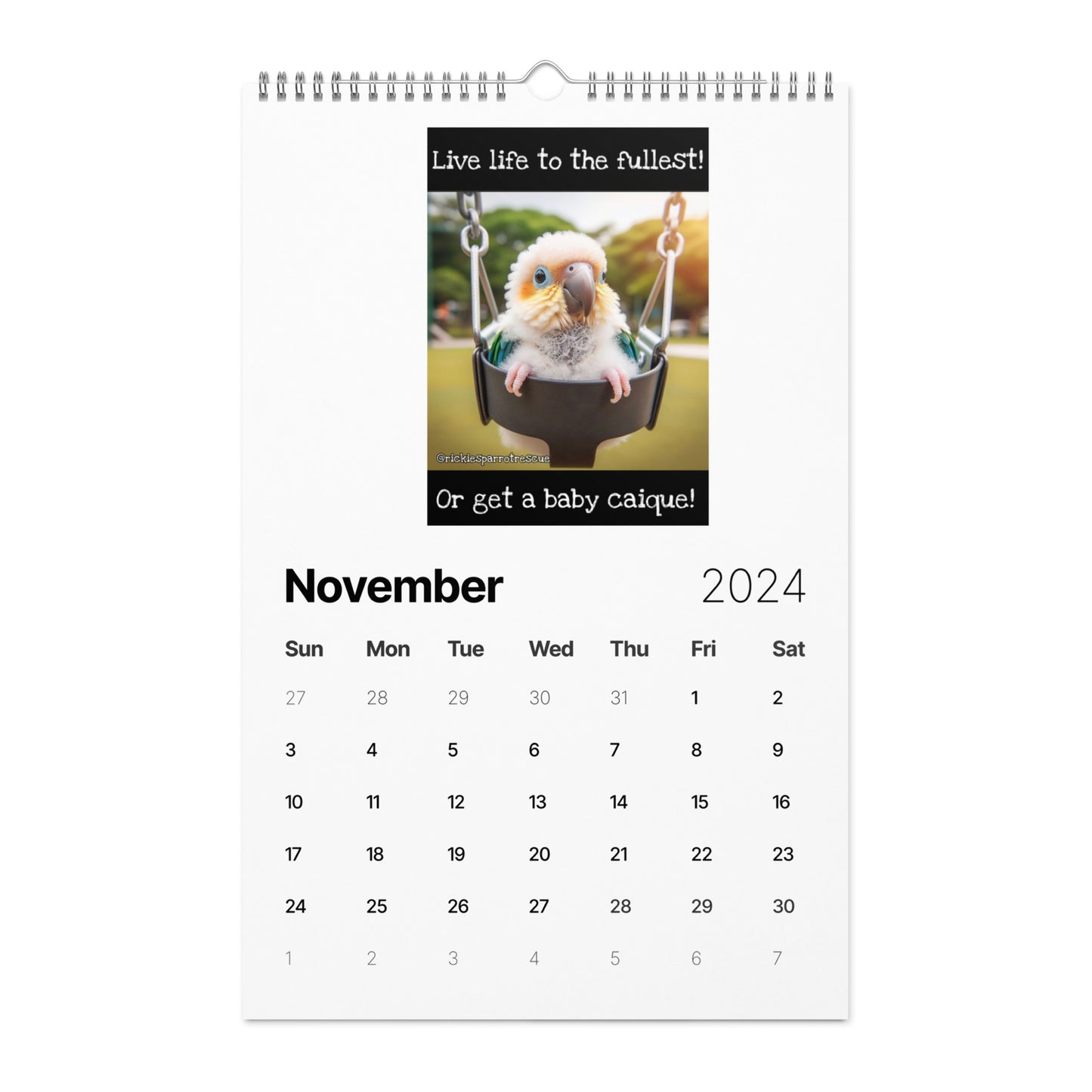 Wall calendar (2024)